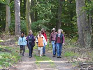 20161016-151848_klein