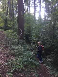 20161016-152428_klein