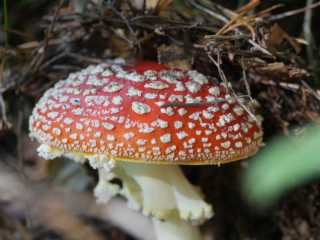 20161016-154450_klein