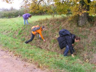 Wissembourg_03_klein