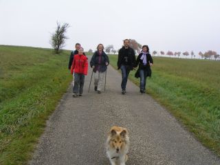 Wissembourg_05_klein