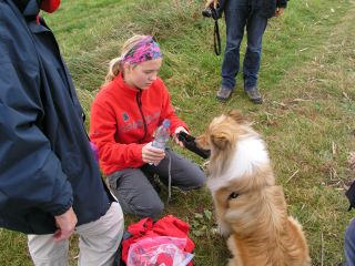 Wissembourg_07_klein