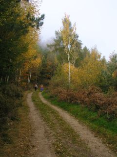 Wissembourg_08_klein