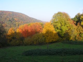 Wissembourg_10_klein